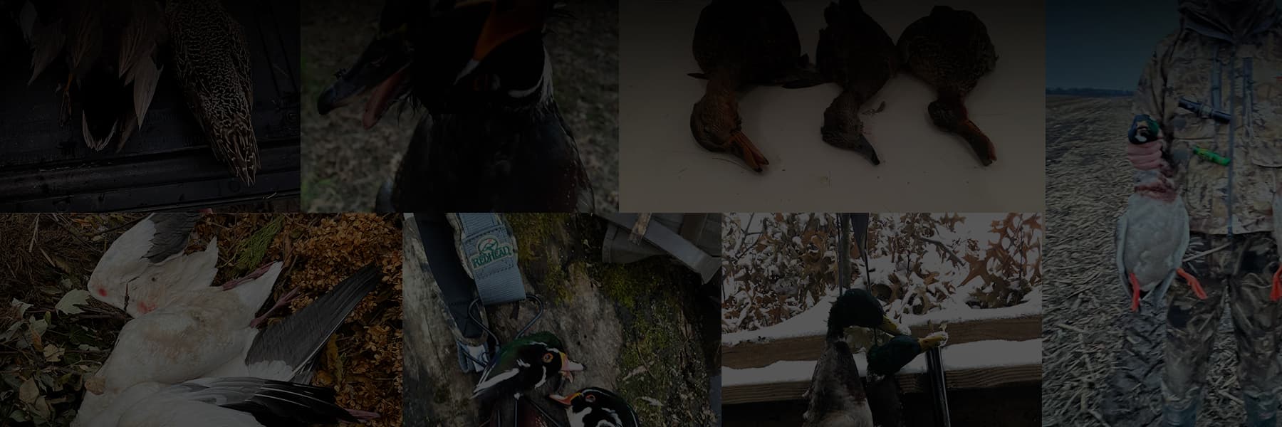 Photo Grid Background