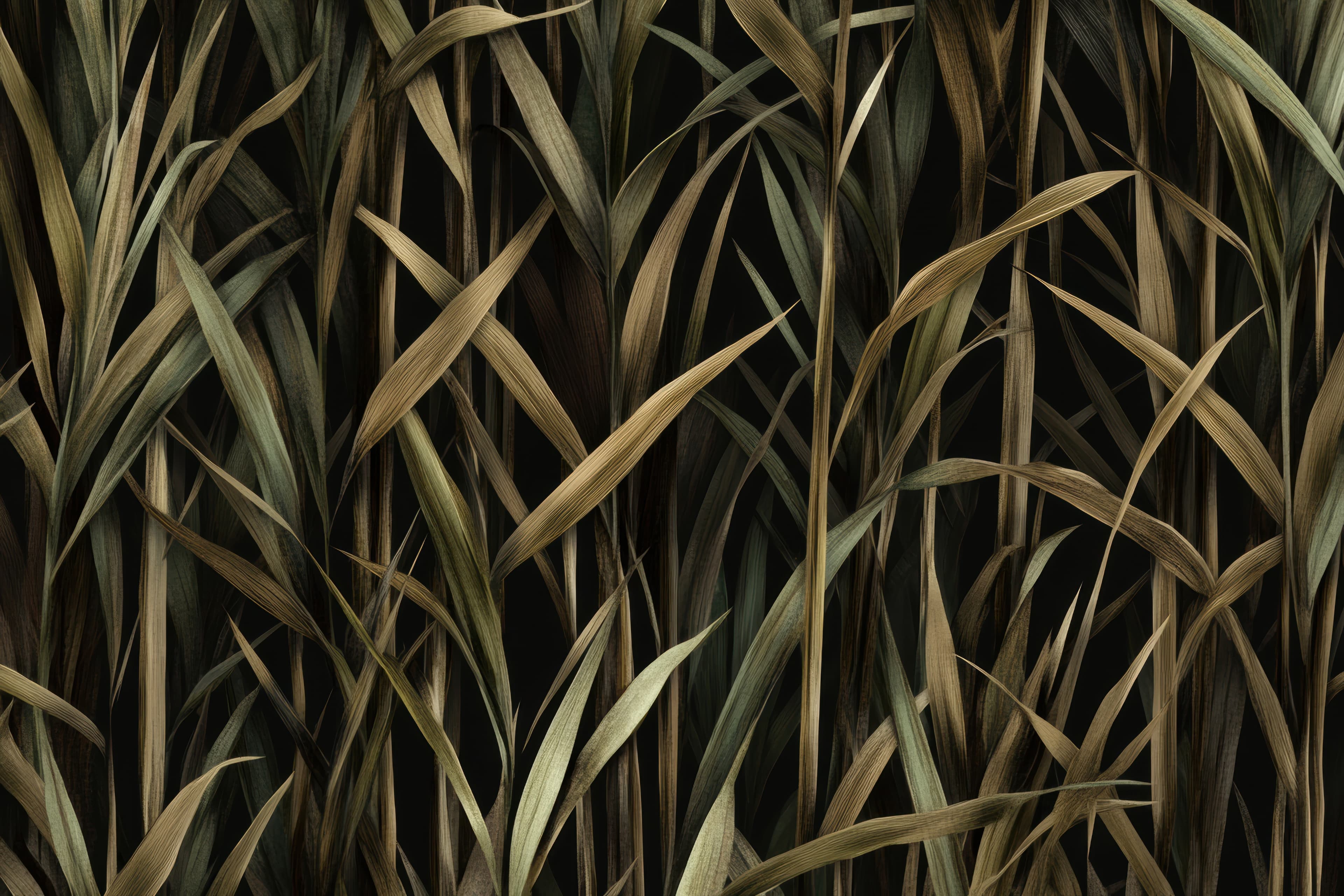 Rules Background