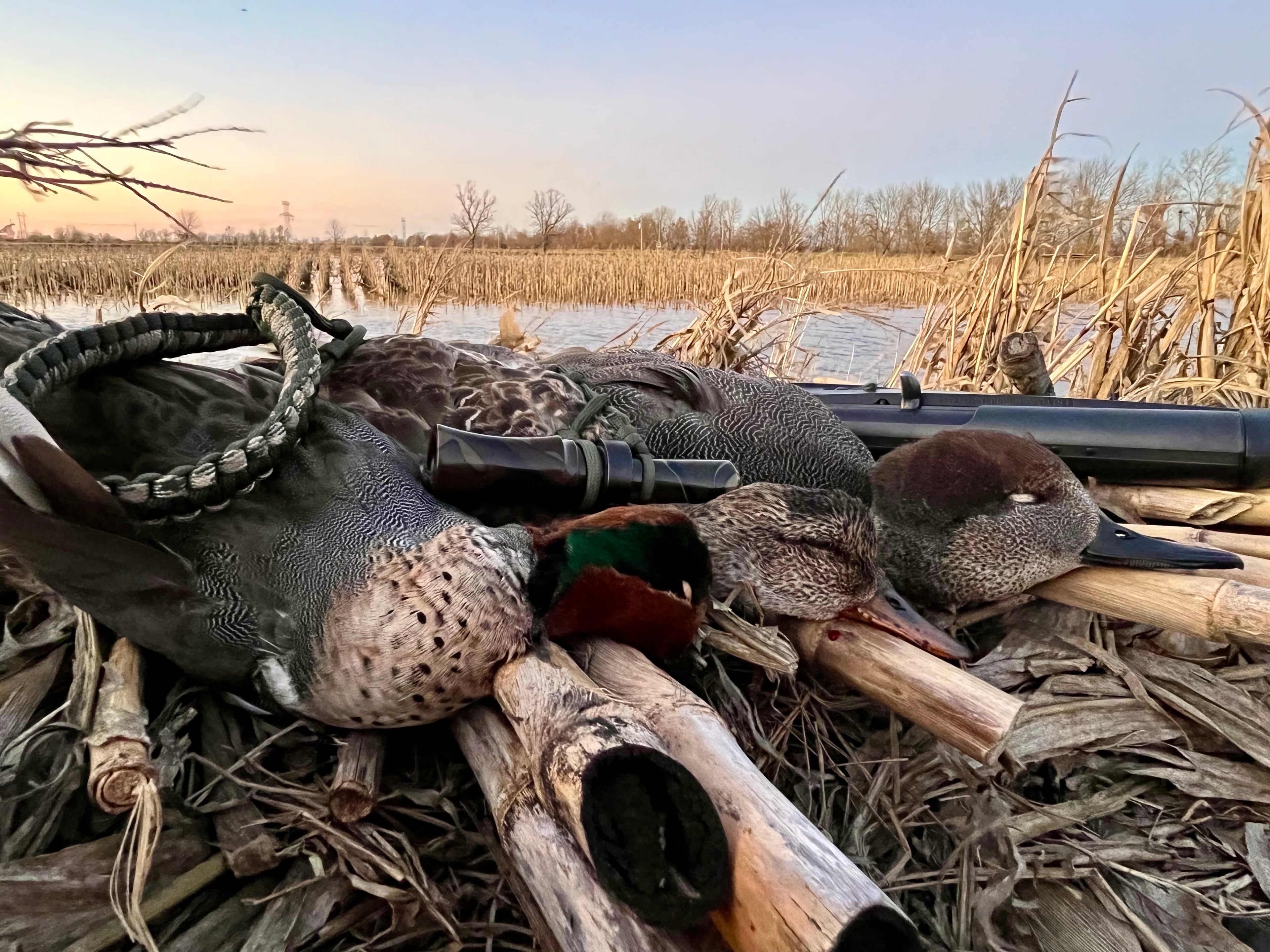 Waterfowl hunting scene background