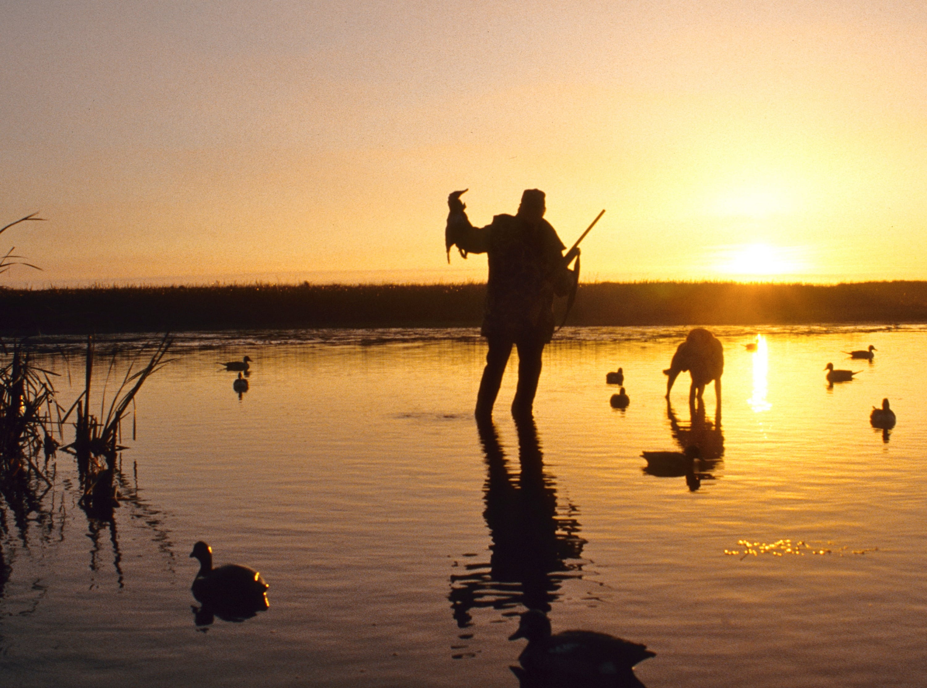 How to Win - Waterfowl hunting scene