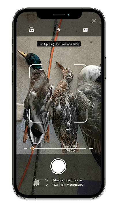 Blind Book mobile app showing photo submission interface for conservation giveaway
